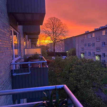 Hyggeligt Kunst Studie Taet Pa Vandet *