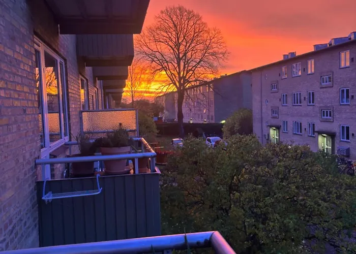 Hyggeligt Kunst Studie Tæt På Vandet *